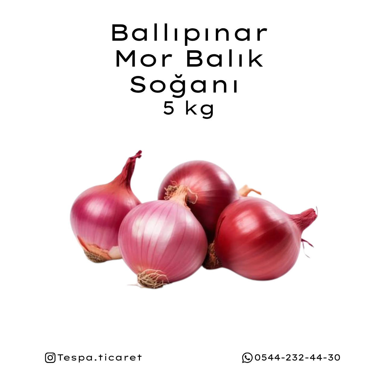 Kapıdağ Mor Balık Soğanı Tane 5 Kg | Coğrafi İşaretli Erdek Ballıpınar Mor Soğanı | Tespa Ticaret