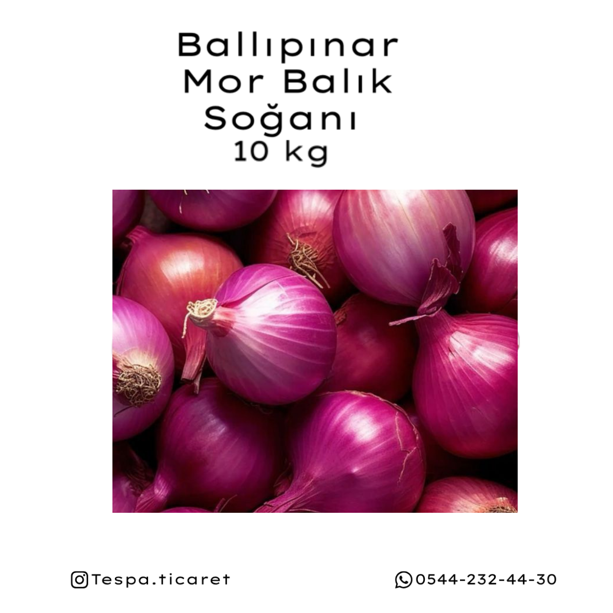 Kapıdağ Mor Balık Soğanı Tane 10 Kg | Coğrafi İşaretli Ballıpınar Soğanı | TESPA Ticaret - Görsel 2